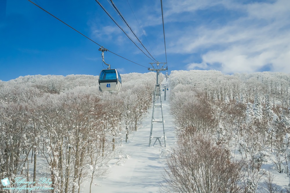 [日本‧秋田]森吉山樹冰/阿仁滑雪場/此生必去看的絕美樹冰