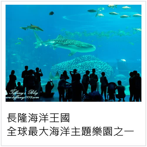 [珠海住宿] 長隆橫琴灣酒店水世界。戶外泳池、室內水上遊樂設施、人造沙灘、漂漂河、滑水道、還可以與海豚拍照!!