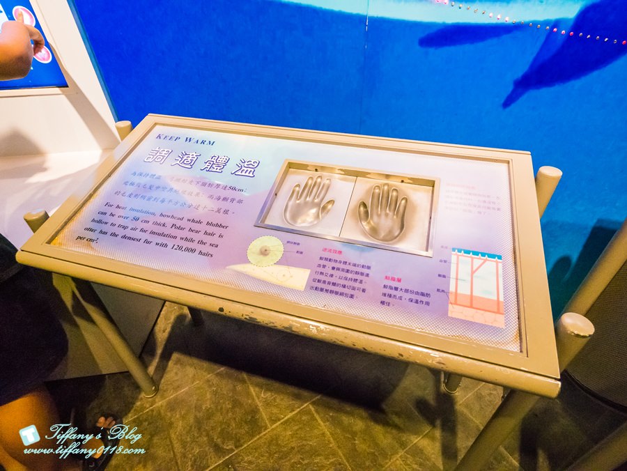 2021屏東國立海洋生物博物館全攻略/適合親子旅遊的屏東親子景點/夜宿海生館