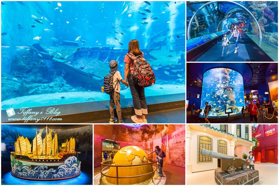 [新加坡自由行]聖淘沙名勝世界S.E.A.海洋館+海事博物館/超過10萬種海洋生物任妳看