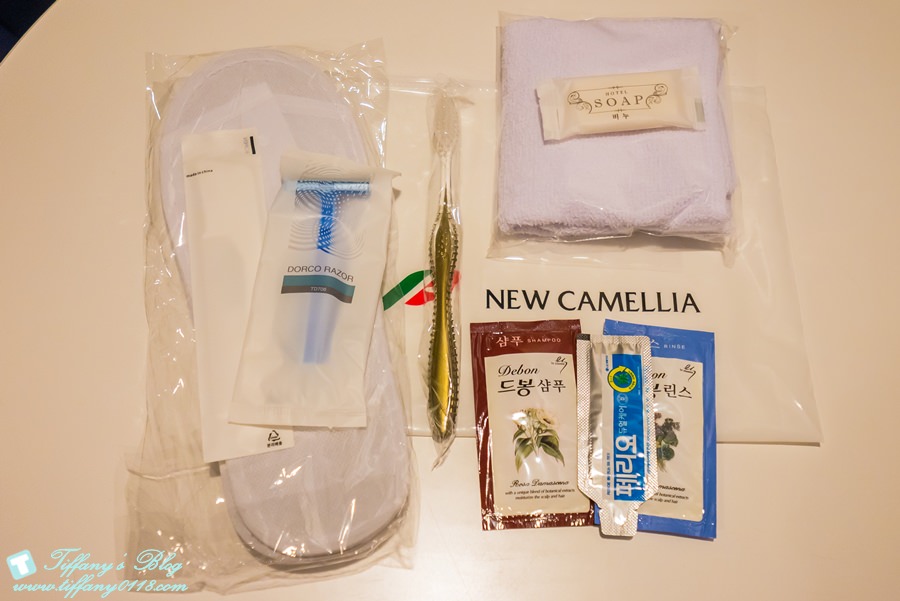 New Camellia新山茶花號/實現一次玩日韓兩國的夢想/輕鬆往返釜山福岡之間