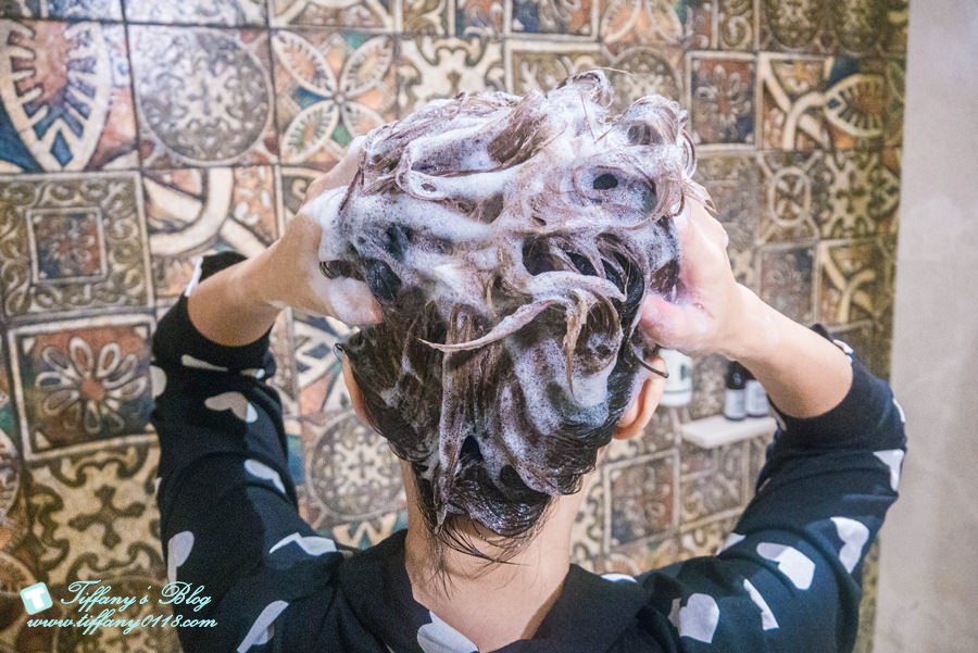 [髮品推薦]FARZO花柔自然萃/用天然植物精萃的精油洗護來保養頭髮/MIT台灣髮品