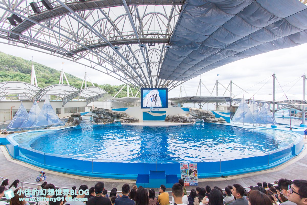 2020花蓮遠雄海洋公園全攻略/必看海豚海獅表演/八大園區+四大主題表演讓你一整天都玩到
