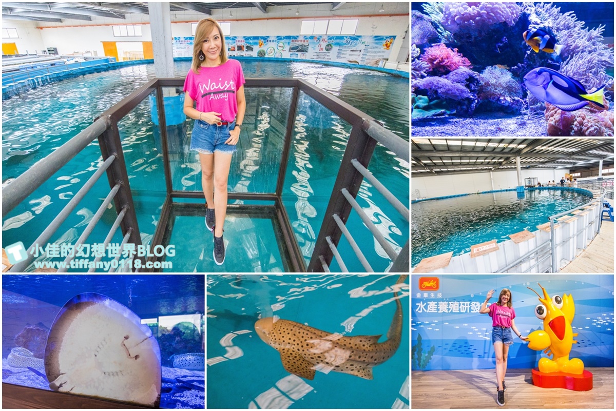 [宜蘭景點]金車生技水產養殖研發中心/有透明觀景台看鯊魚魟魚還能餵食/兒童遊戲區+海洋生物水族館