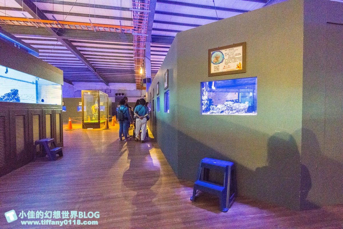 [宜蘭景點]金車生技水產養殖研發中心(免門票)/空中透明觀景台看鯊魚魟魚還能餵食/兒童遊戲區+海洋生物水族館